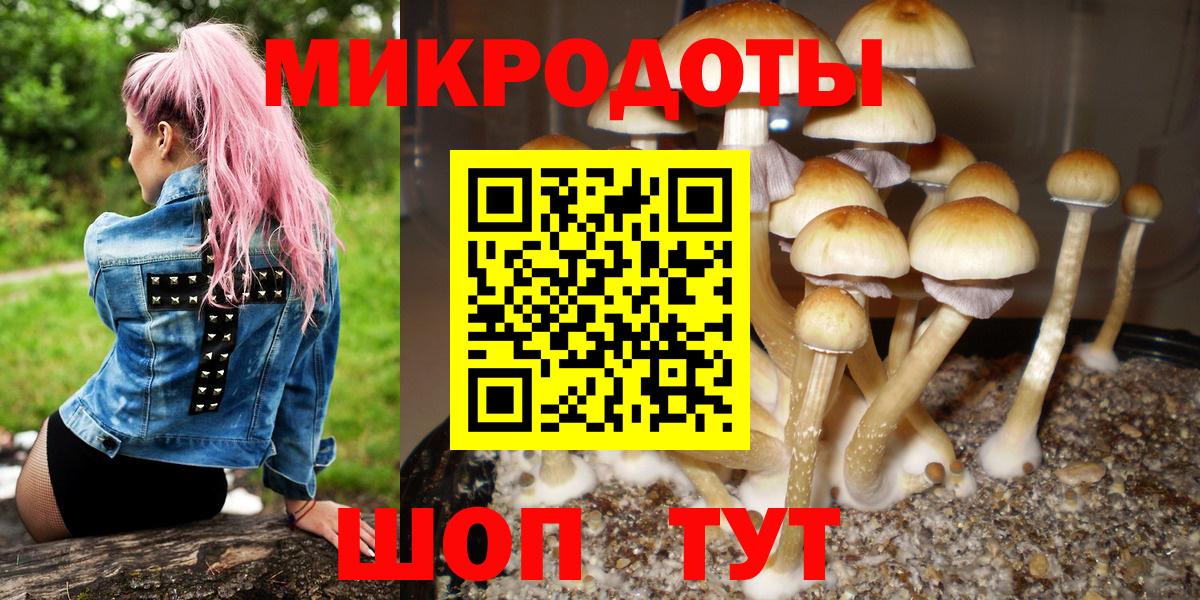 Ревда  Псилоцибиновые грибы Magic Shrooms  Галлюциногенные грибы Magic Shrooms  Вход с VPN 