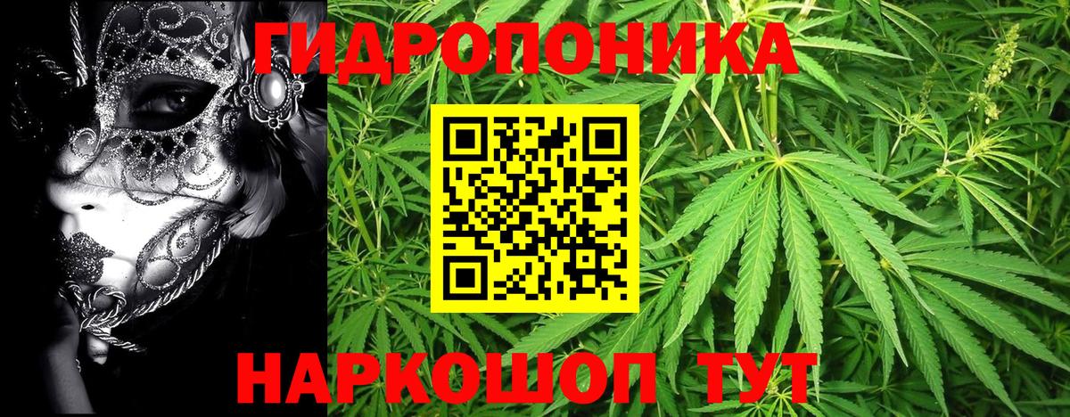 Бошки марихуана VHQ Ревда