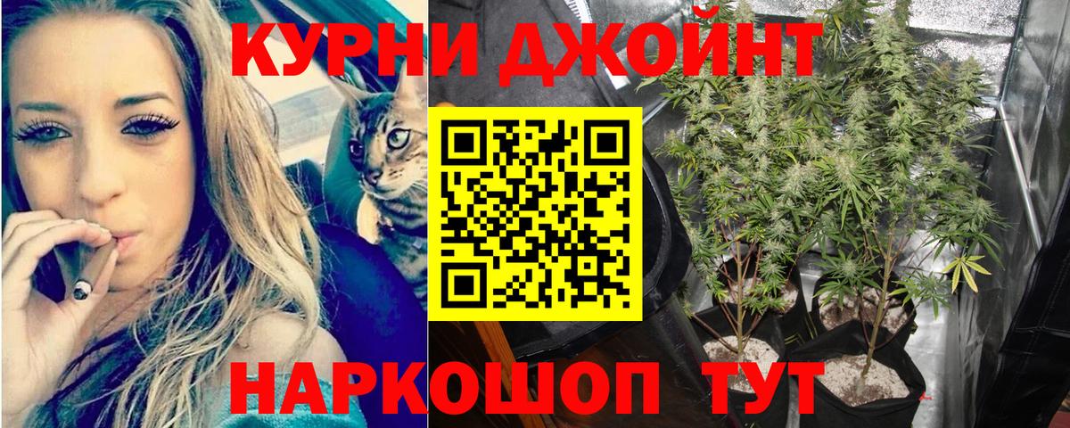 МАРИХУАНА планчик  Канабис марихуана  Вход с VPN  Ревда  Шишки марихуана сатива 
